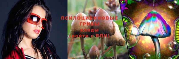 ешки Чекалин