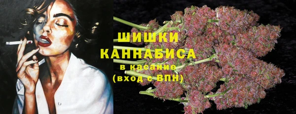 амф Шадринск