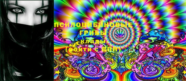 ешки Чекалин